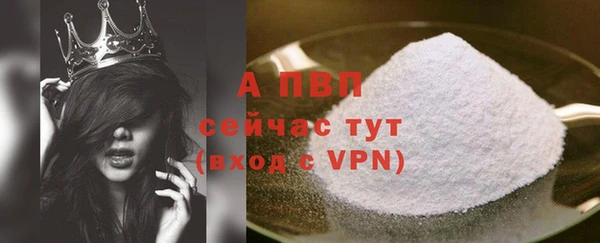 сатива Арсеньев