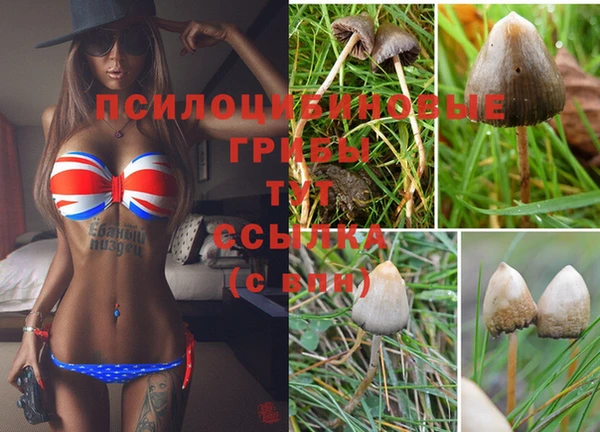 прущие крисы Армянск