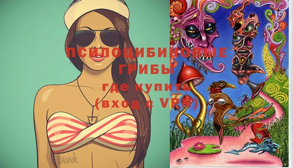 сатива Арсеньев