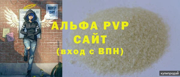 сатива Арсеньев